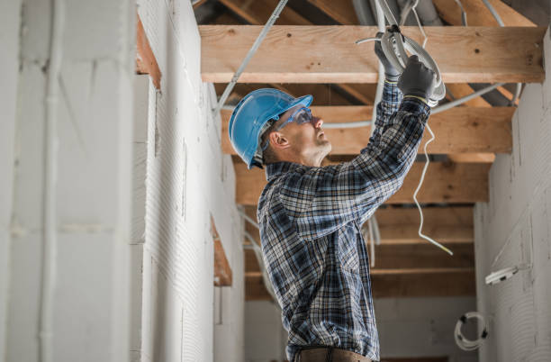 Best Licensed Electrician  in Web, AL