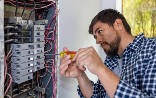 Best Electric Panel Repair  in Web, AL